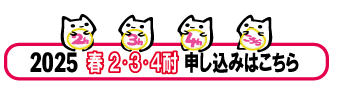 春234申し込み